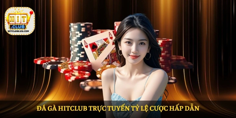 Đá gà HITCLUB trực tuyến tỷ lệ cược hấp dẫn