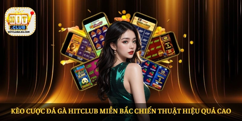 Kèo cược đá gà HITCLUB Miền Bắc chiến thuật hiệu quả cao